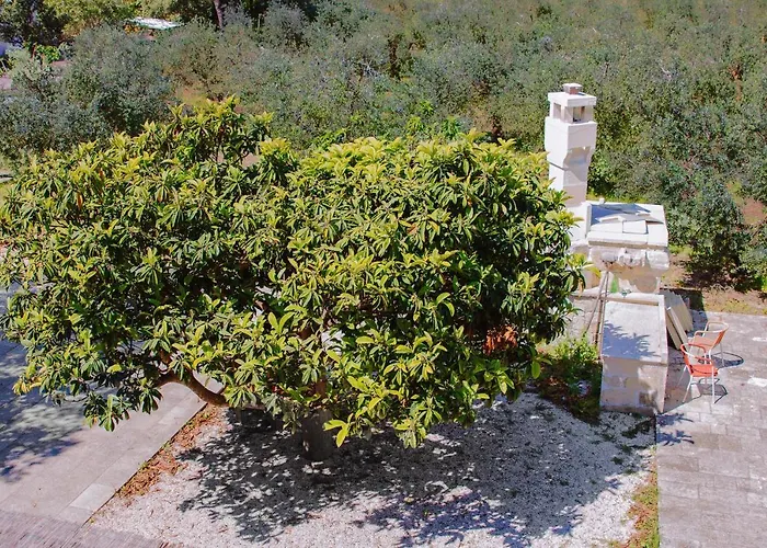 Agriturismo Biologico Piccapane Bed and Breakfast Cutrofiano